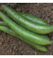 SpongeGourd / Galki IVSGH-551 50 grams